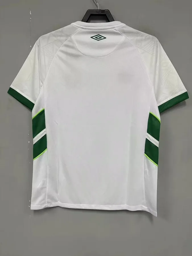 23/24 Chapecoense  away S-XXL