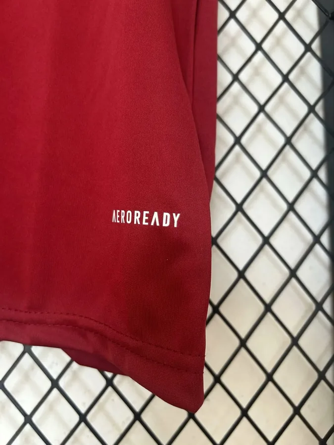 24/25 Brazil International Training uniform Date red S-XXL