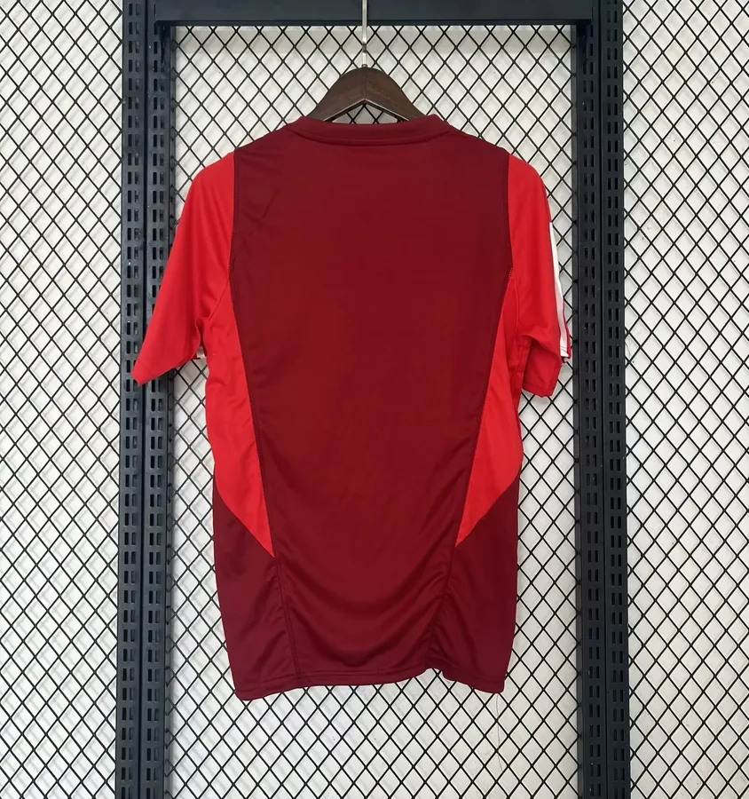24/25 Brazil International Training uniform Date red S-XXL — photo 8