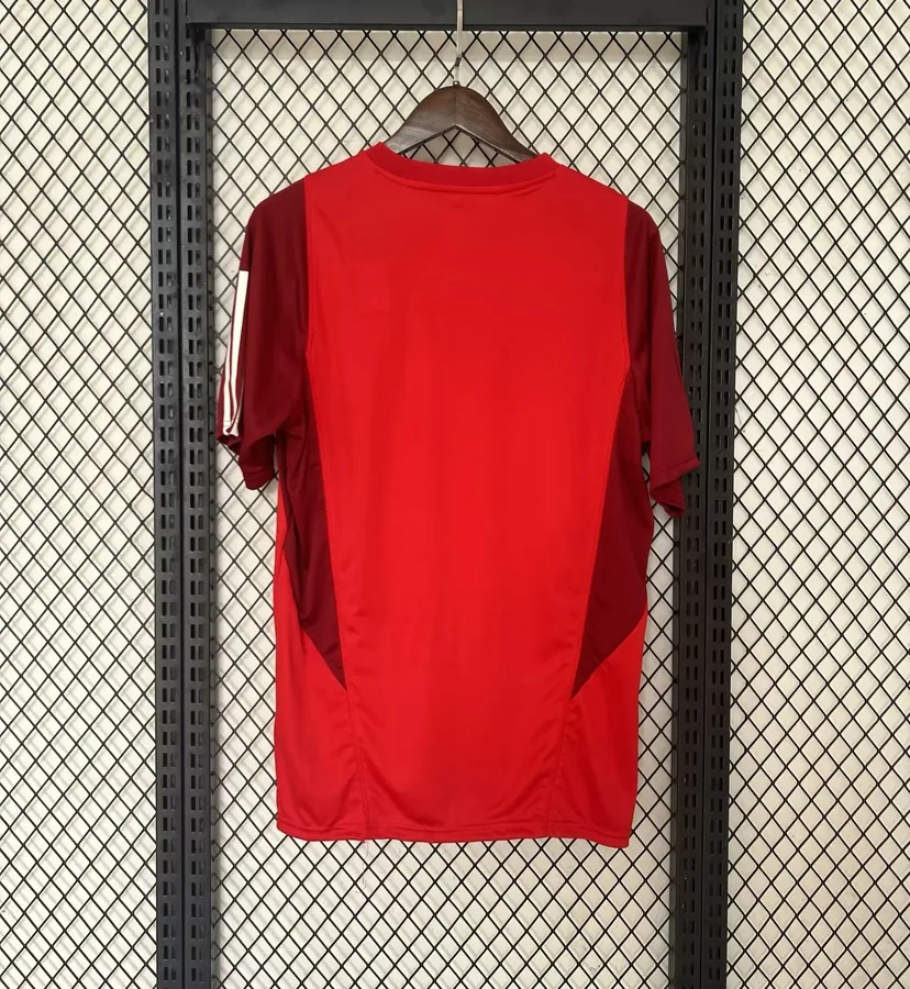 24/25 Brazil International training uniform big red S-XXL — photo 7
