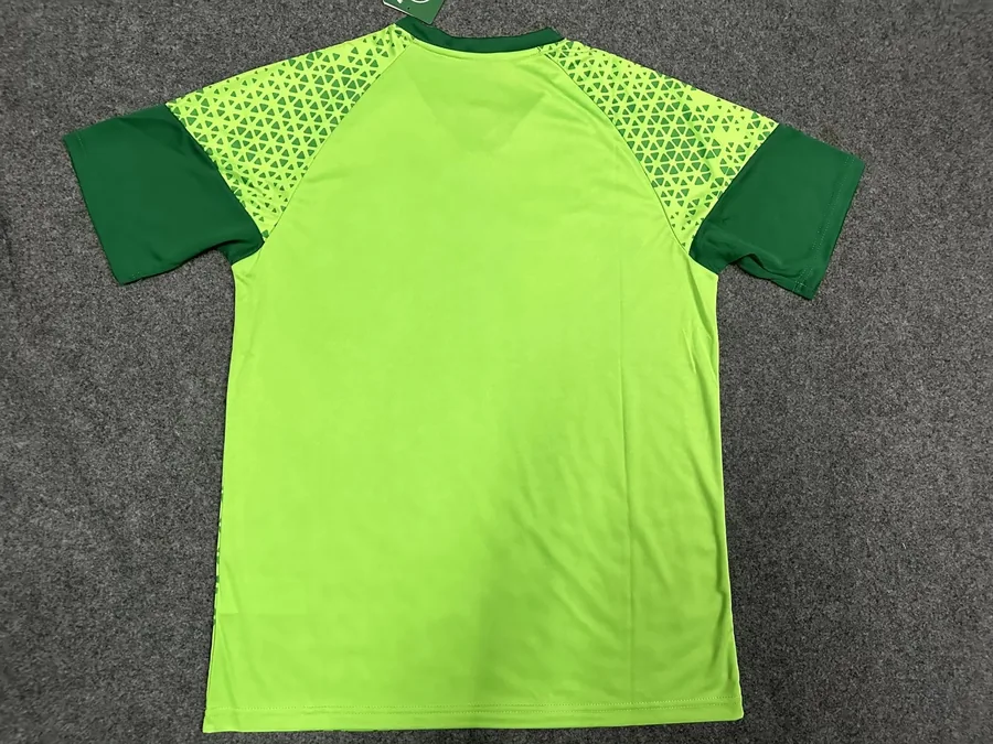 24/25 Palmeiras pre-match training kit green S-XXL — photo 2