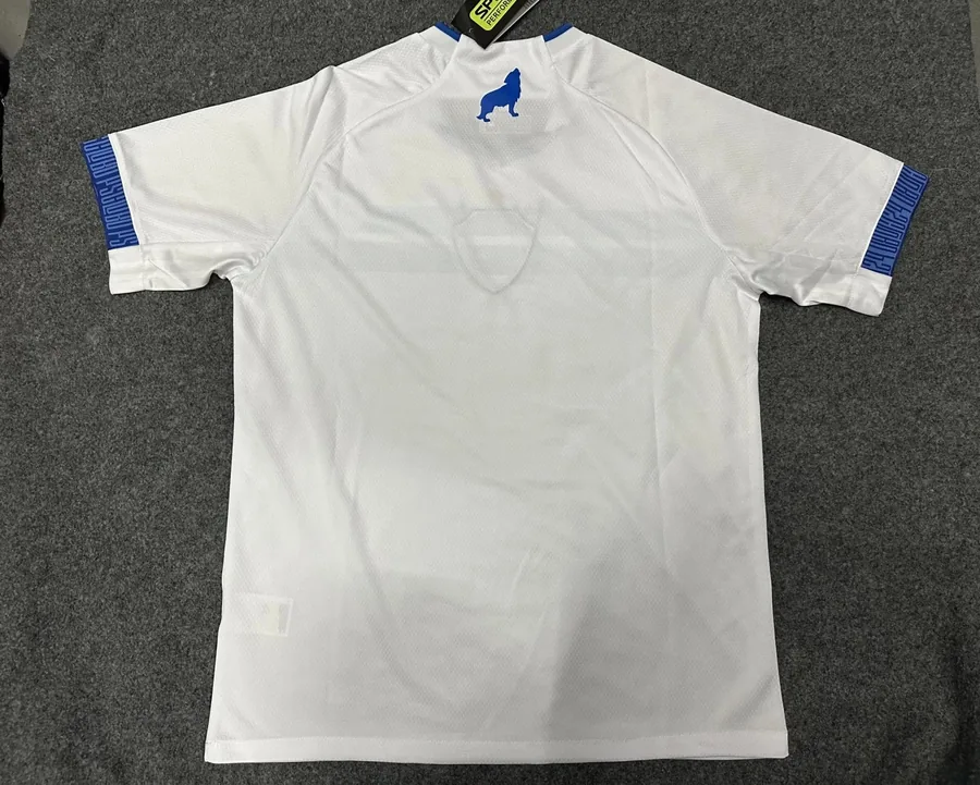 24/25 Paisanse away S-XXL