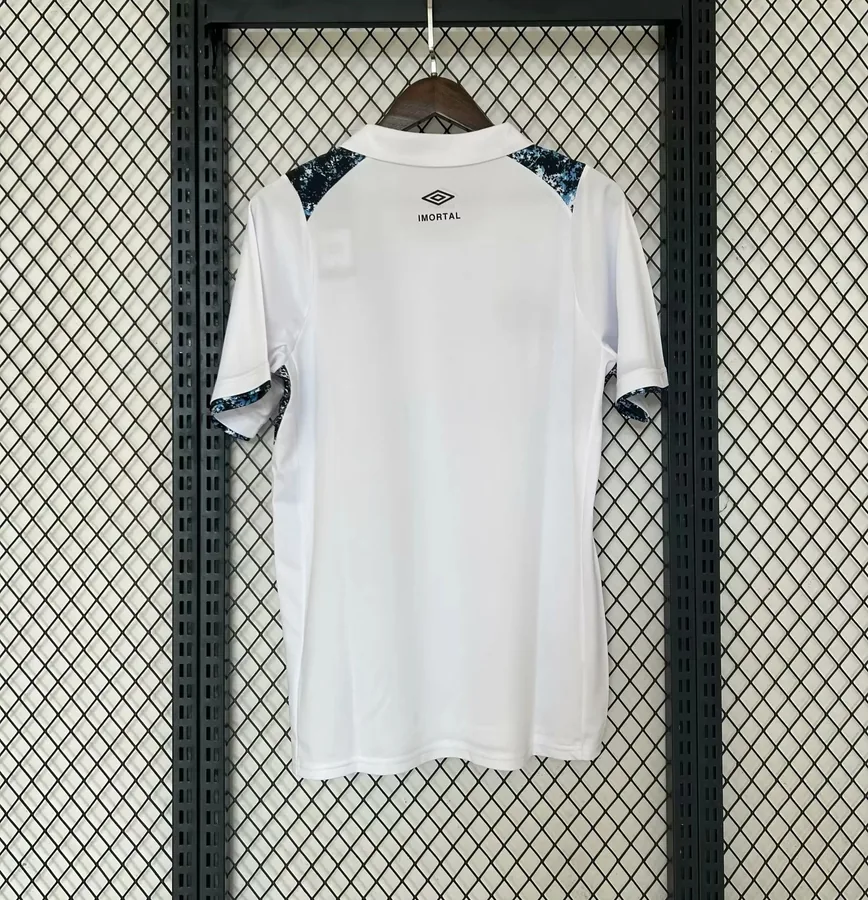 24/25 Gremio home S-XXL — photo 6