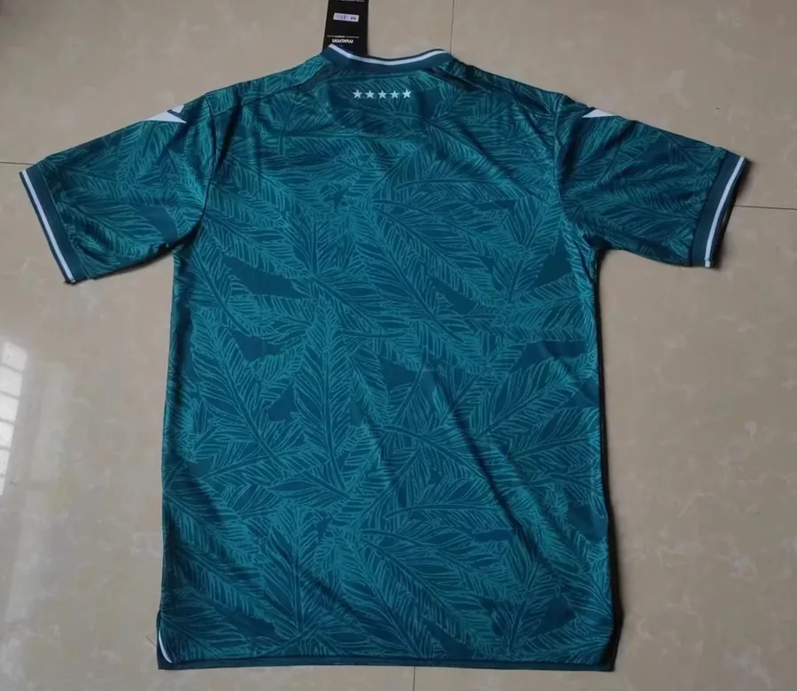24/25Club de Deportes Santiago Wanderers home S-XXL — photo 2