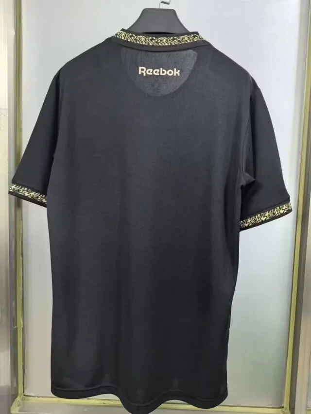 24/25 Botafogo third away S-4XL