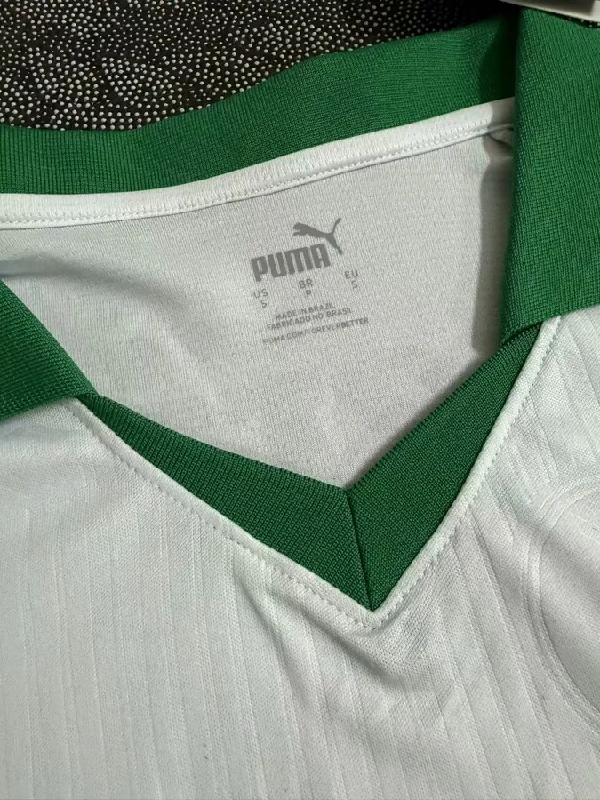 24/25 Palmeiras away S-XXL — photo 4