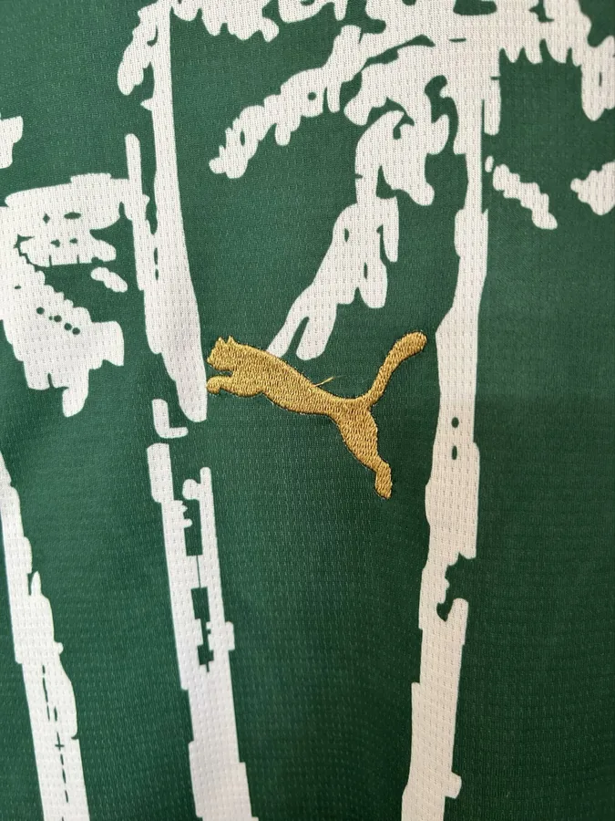 25/26 Palmeiras Special Edition S-XXL — photo 6