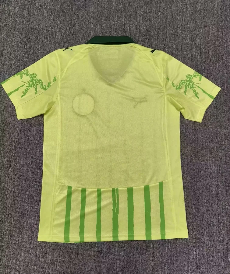 25/26 Palmeiras Special Edition S-XXL — photo 2