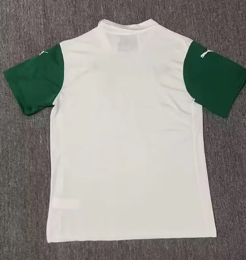 25/26 Palmeiras away S-XXL — photo 3