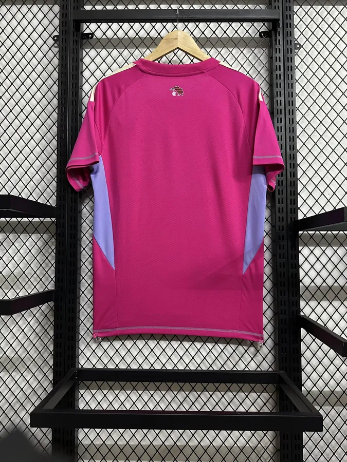 25/26 Flamengo goalkeeper Pink S-XXL — photo 2