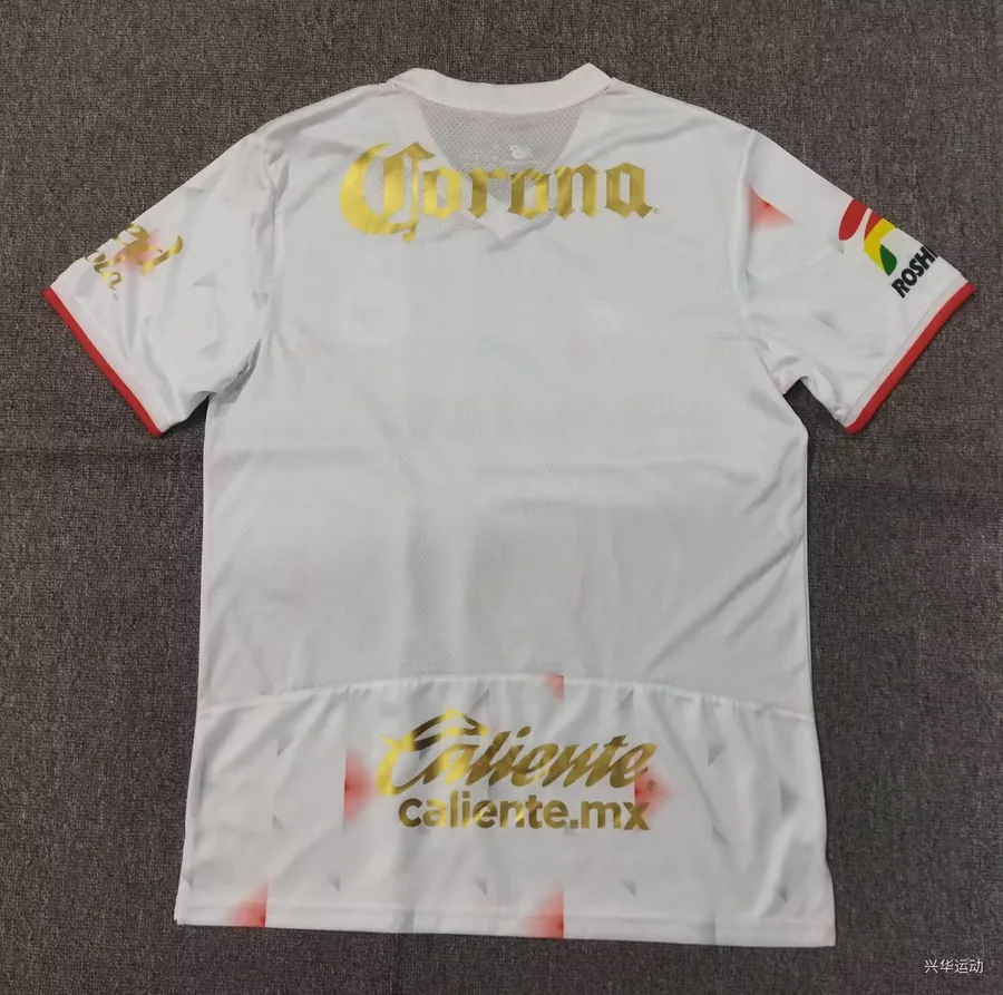 25-26 Toluca Away Game S-4XL — photo 2