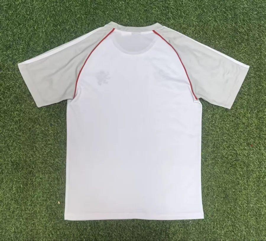 25/26 Lyon Gray White T-shirt S-XXL — photo 2