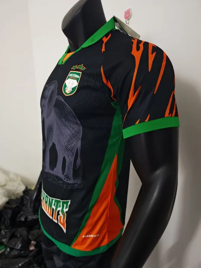 25/26 Player Edition: Ivory Coast Special Edition Black S-XXL — photo 6