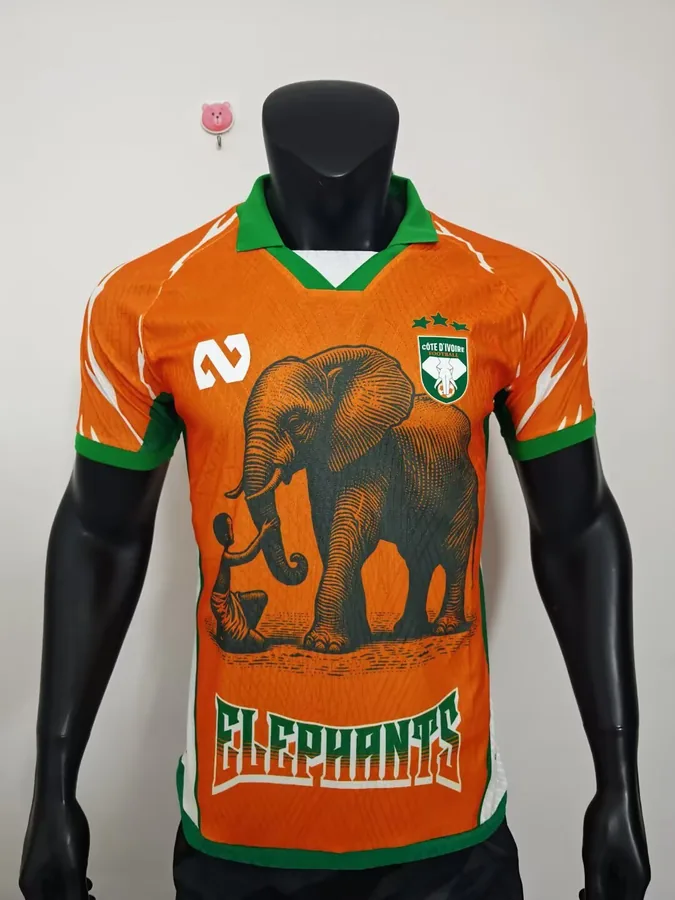 25/26 Player Edition: Ivory Coast Special Edition, Orange, S-XXL