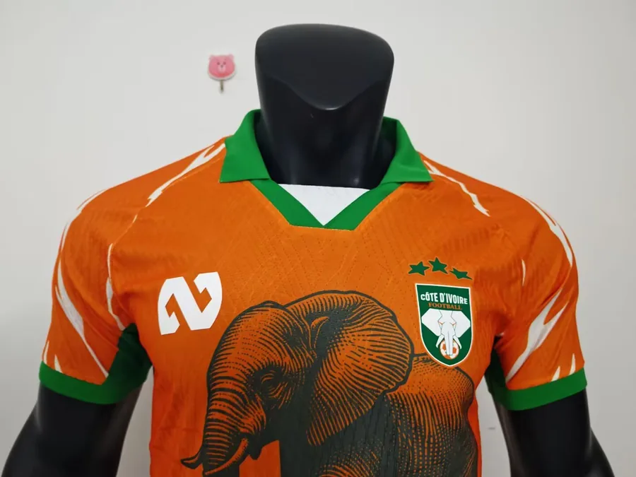 25/26 Player Edition: Ivory Coast Special Edition, Orange, S-XXL — photo 2