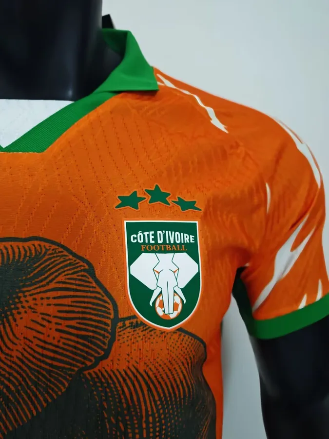 25/26 Player Edition: Ivory Coast Special Edition, Orange, S-XXL — photo 3