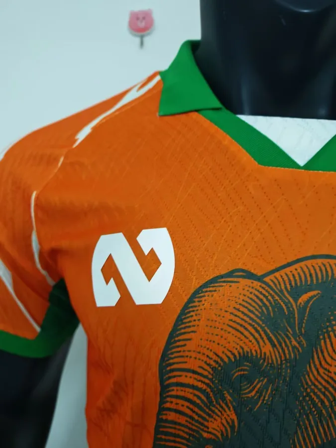 25/26 Player Edition: Ivory Coast Special Edition, Orange, S-XXL — photo 4
