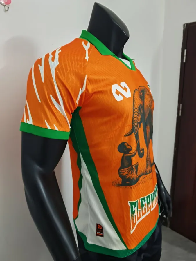 25/26 Player Edition: Ivory Coast Special Edition, Orange, S-XXL — photo 5