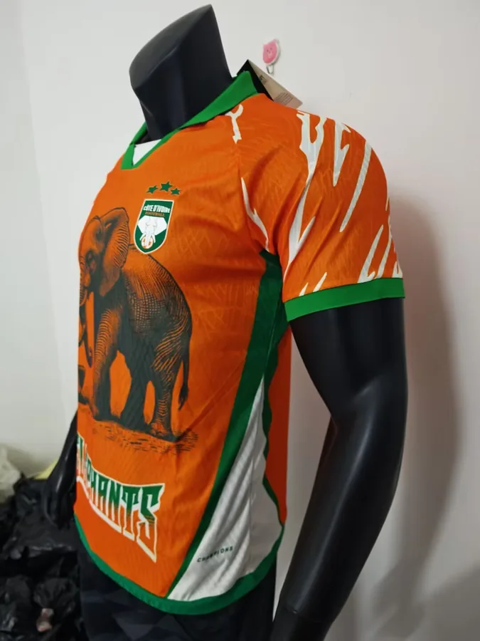 25/26 Player Edition: Ivory Coast Special Edition, Orange, S-XXL — photo 6