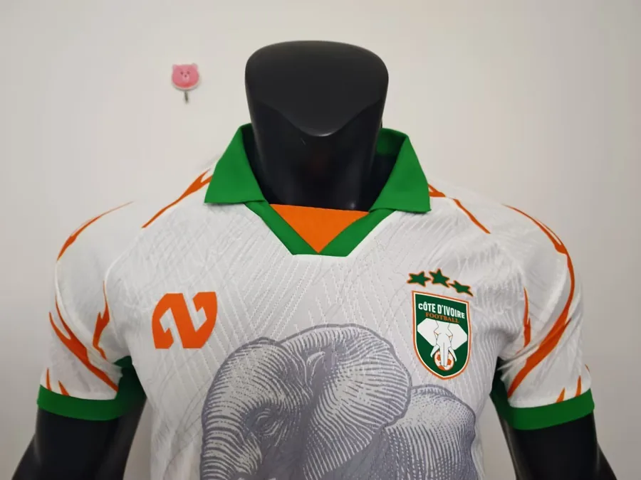 25/26 Player Edition: Ivory Coast Special Edition White S-XXL — photo 2