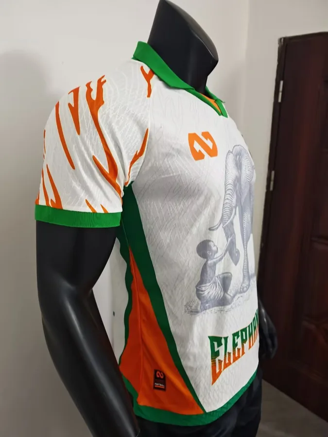 25/26 Player Edition: Ivory Coast Special Edition White S-XXL — photo 5