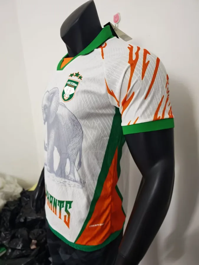 25/26 Player Edition: Ivory Coast Special Edition White S-XXL — photo 6