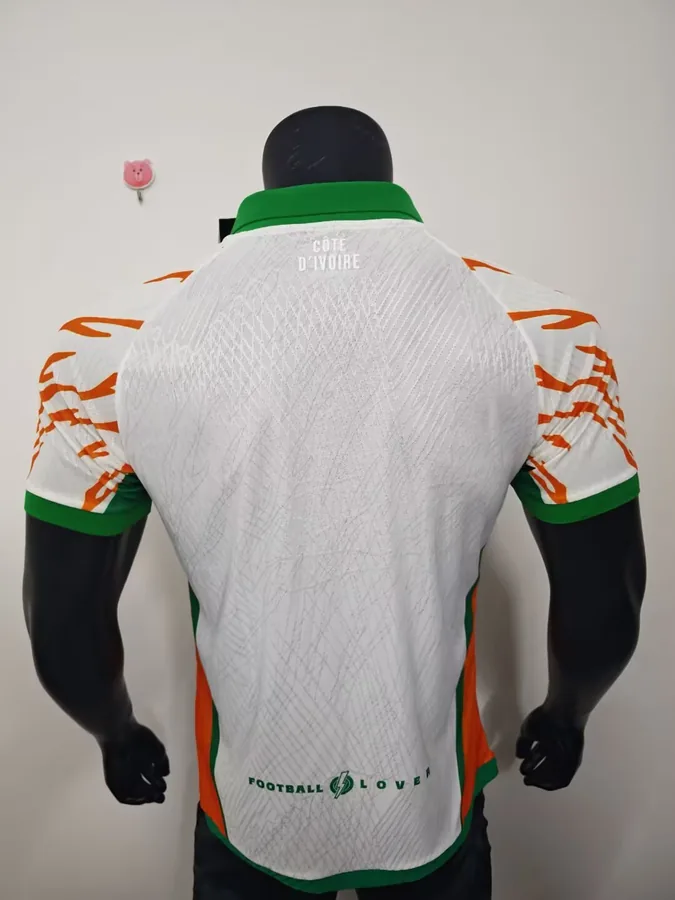 25/26 Player Edition: Ivory Coast Special Edition White S-XXL — photo 7