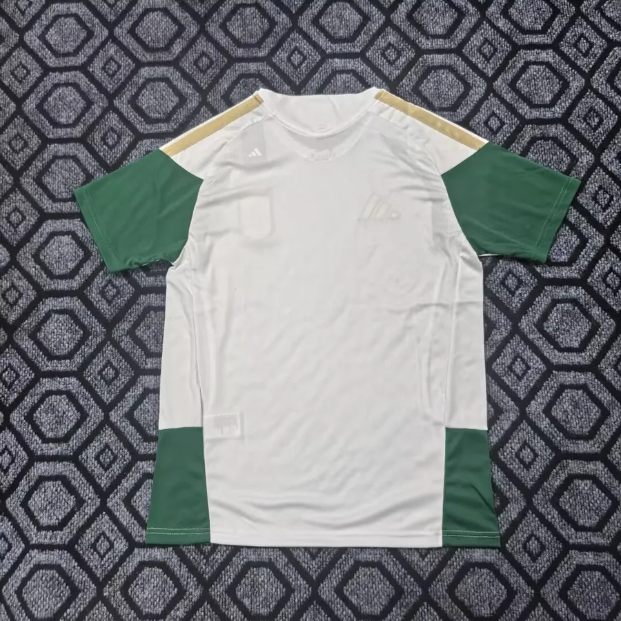 26/27 Italian training jersey before the match - S-XXL — photo 3
