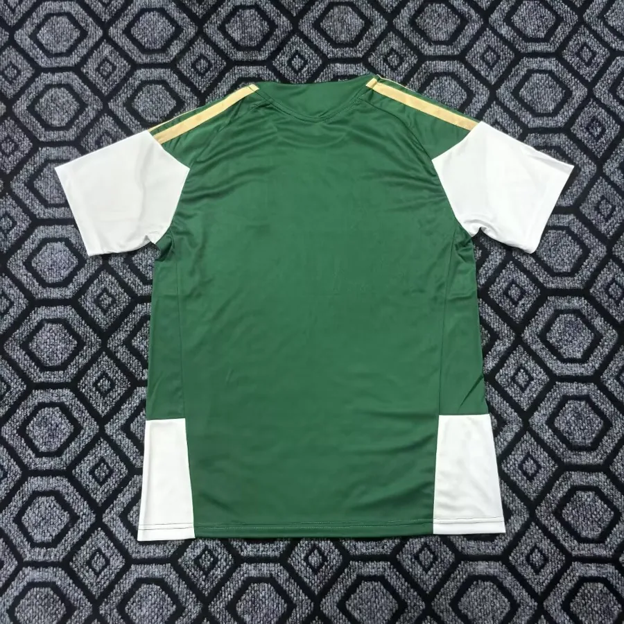 26/27 Italian training jersey before the match - S-XXL — photo 3