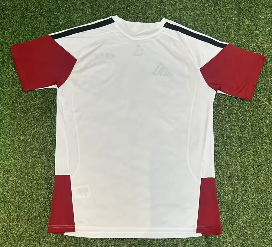 26/27 German training jersey before the match - white S-XXL — photo 2