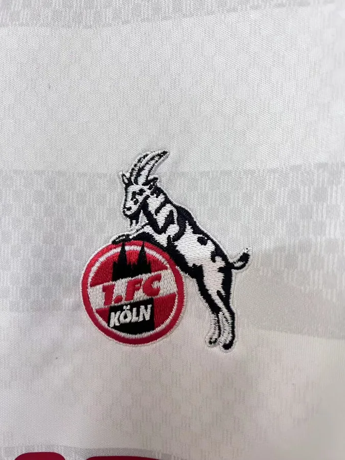 2627 Cologne home court S-4XL — photo 4