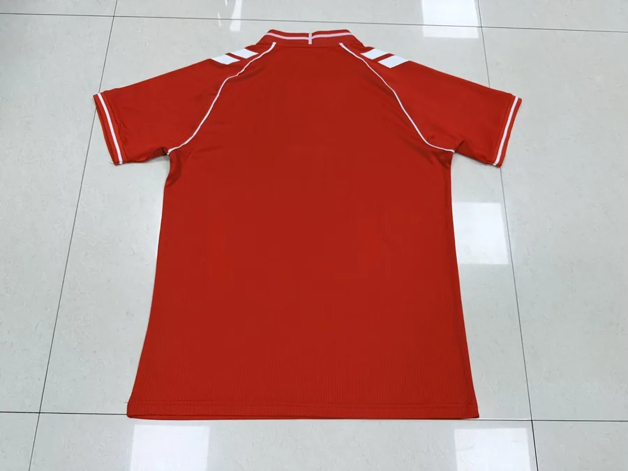 2026 Denmark home game, S-4XL