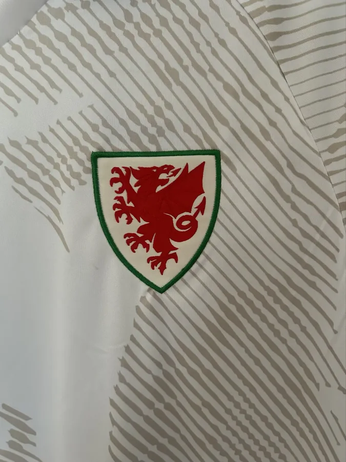 2026 World Cup Wales Soccer Jersey Away — photo 3