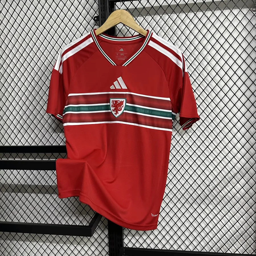 2026 World Cup Wales Soccer Jersey Home — photo 3