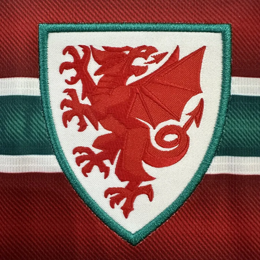 2026 World Cup Wales Soccer Jersey Home — photo 5