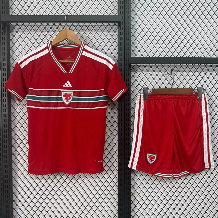 2026 Kids Wales Soccer Jersey Home