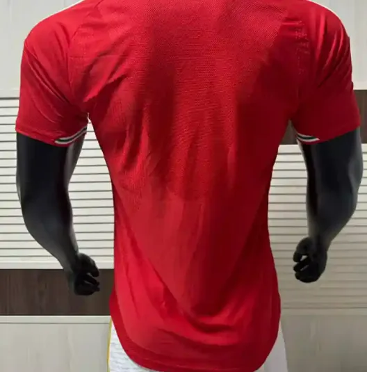 2026 Player World Cup Wales Soccer Jersey Home
