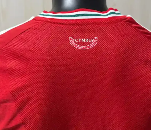 2026 Player World Cup Wales Soccer Jersey Home — photo 2