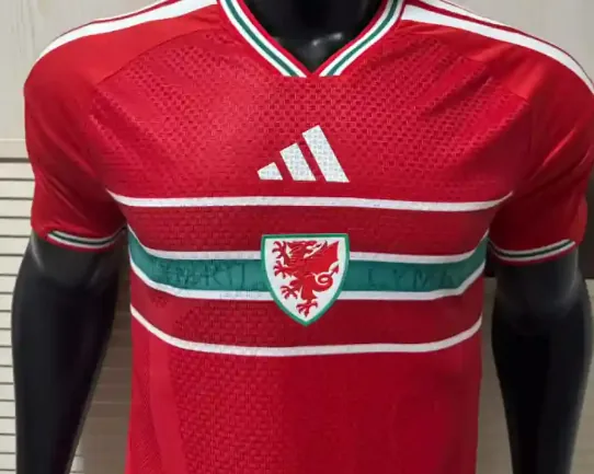 2026 Player World Cup Wales Soccer Jersey Home — photo 3