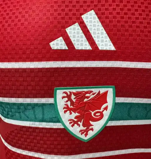 2026 Player World Cup Wales Soccer Jersey Home — photo 4