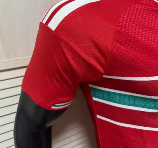 2026 Player World Cup Wales Soccer Jersey Home — photo 5