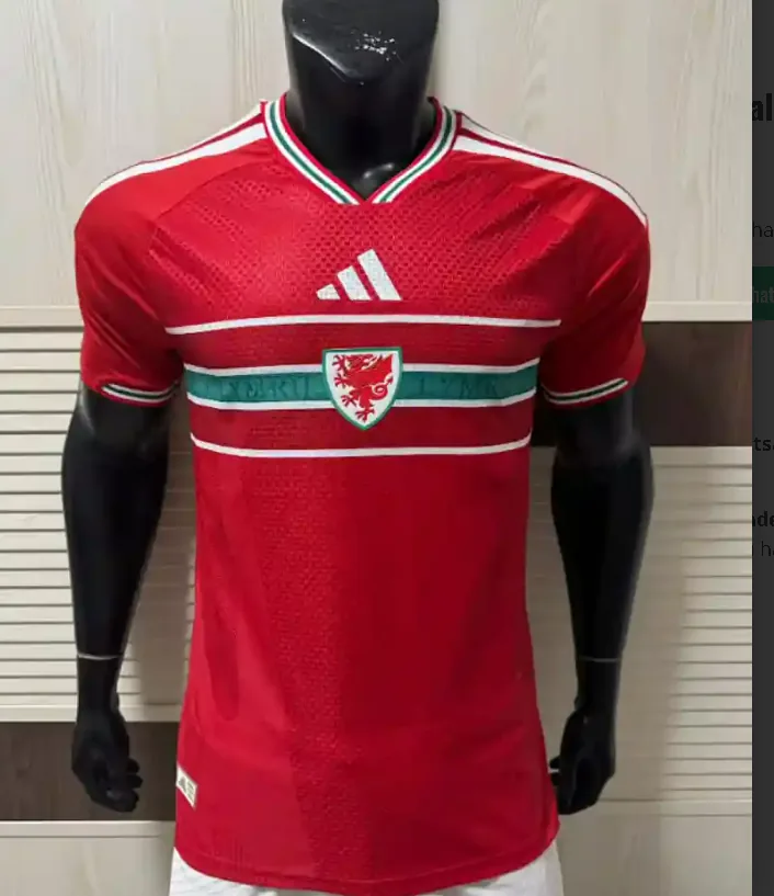 2026 Player World Cup Wales Soccer Jersey Home — photo 6