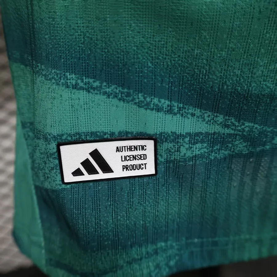 2026 Player Germany Green Goalkeeper Soccer Jersey — photo 4