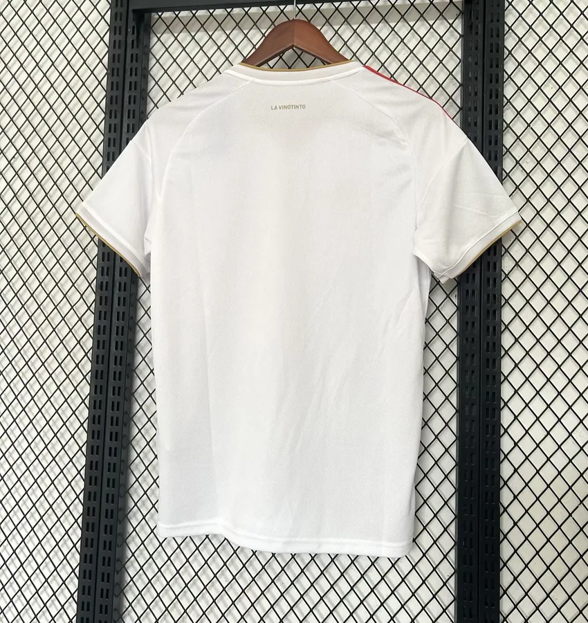 2026 World Cup Venezuela Soccer Jersey Away — photo 2