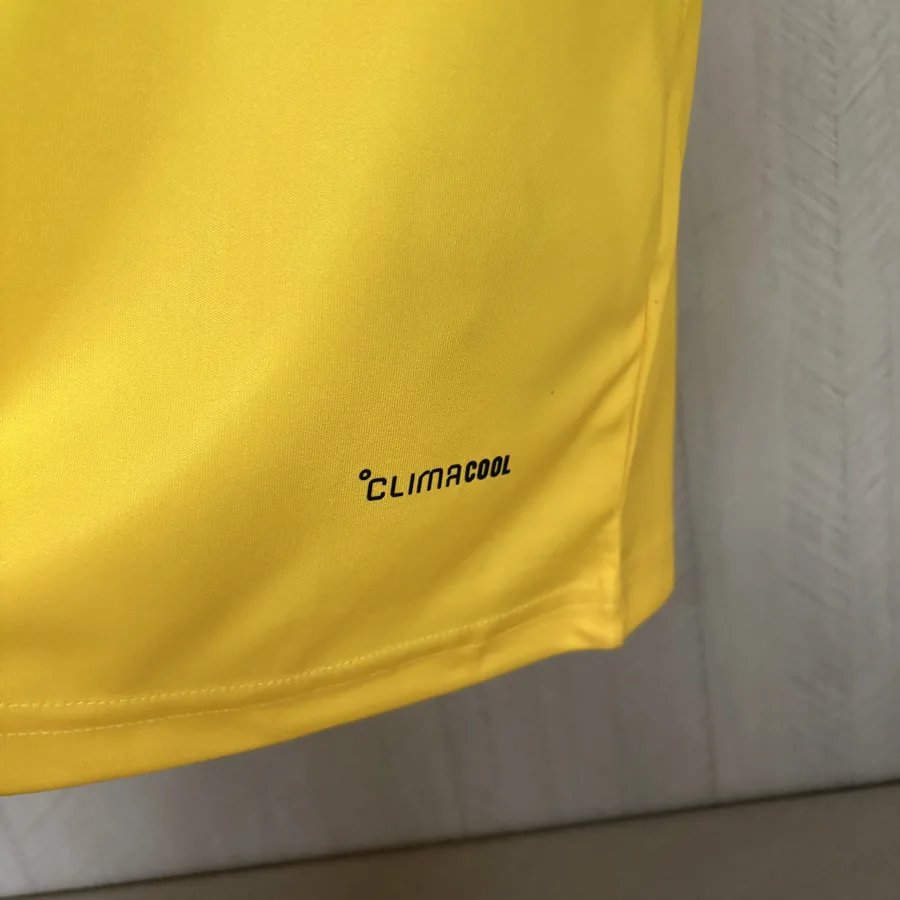 2026 Jamaica x Bob Marley Pre Match Soccer Jersey — photo 3