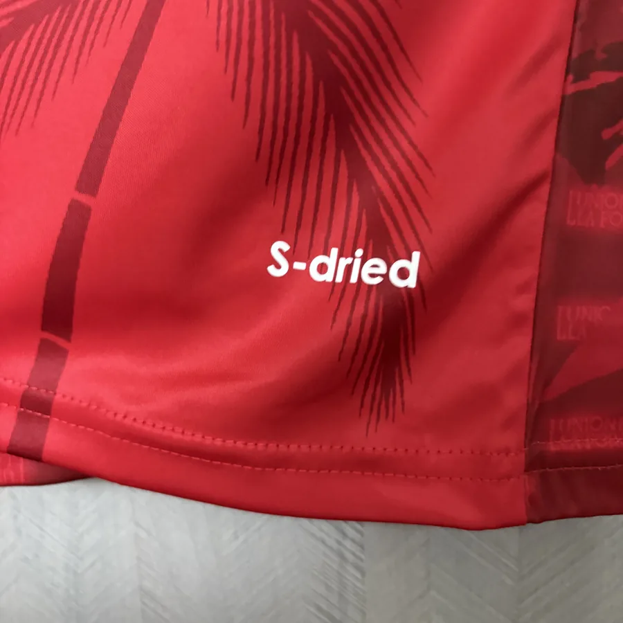 2026 World Cup Haiti Soccer Jersey Third Away — photo 7