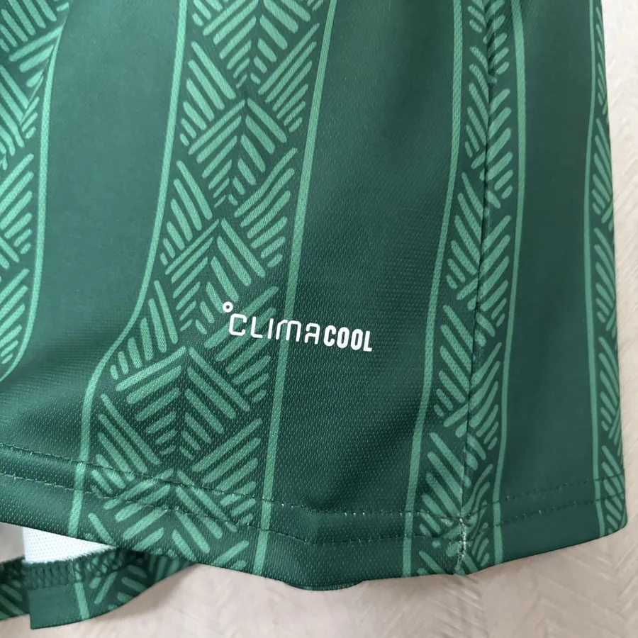 2026 World Cup South Africa Soccer Jersey Away — photo 10