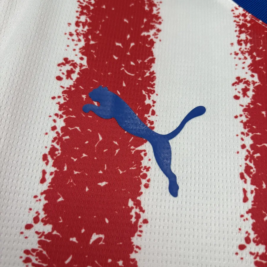 2026 World Cup Paraguay Soccer Jersey home — photo 7