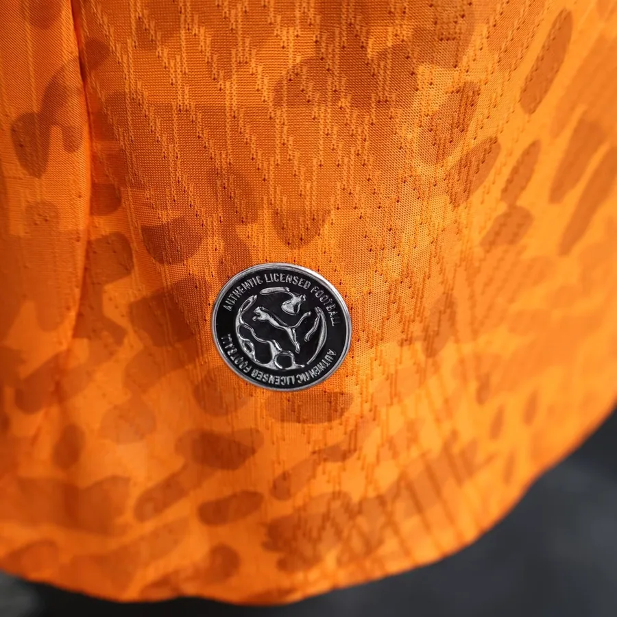 2026 Player Ivory Coast Soccer Jersey Home S-2XL — photo 4