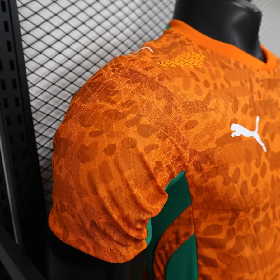 2026 Player Ivory Coast Soccer Jersey Home S-2XL — photo 5